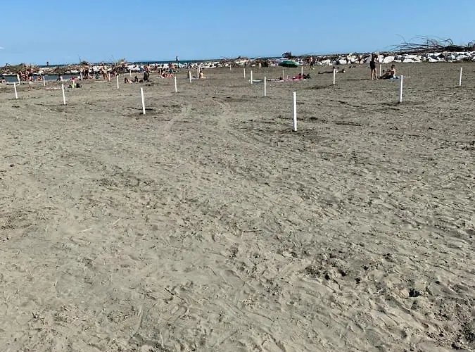 Pensionat Ferienhaeuschen, Laendlich, Nah Am Meer, Casetta In Campagna Vicino Al Mare ,ariacondizionata